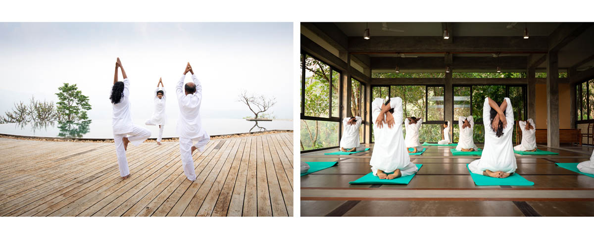 Guests practising yoga in a light-filled natural setting